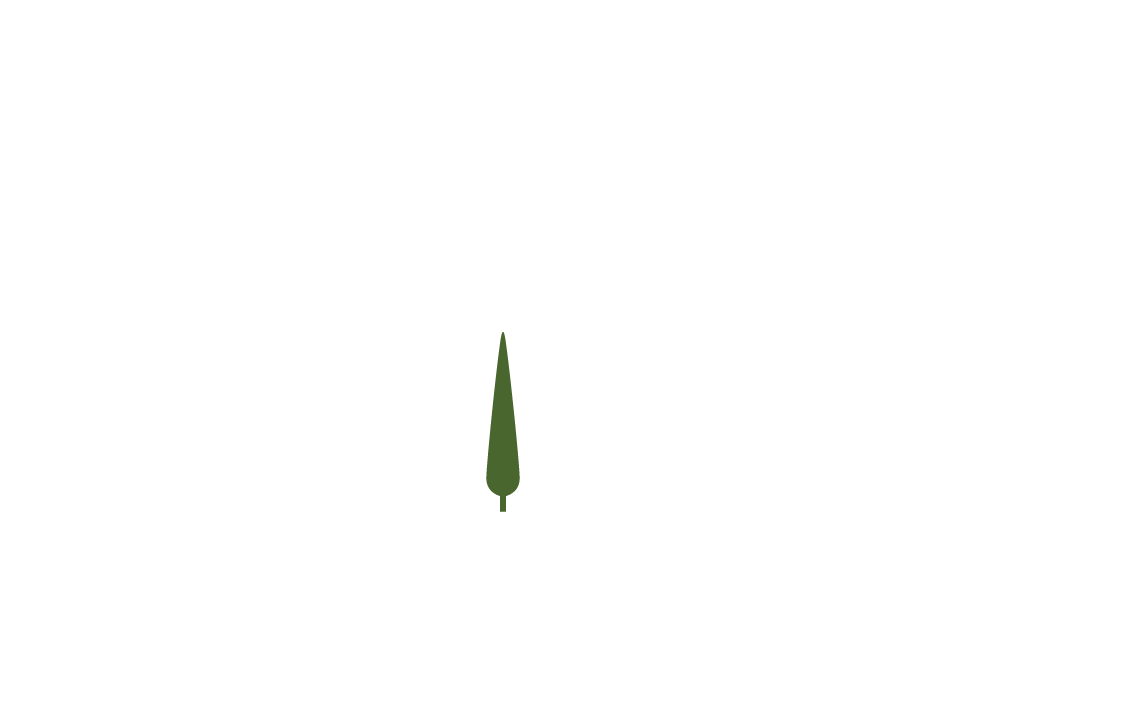 The Property Firm